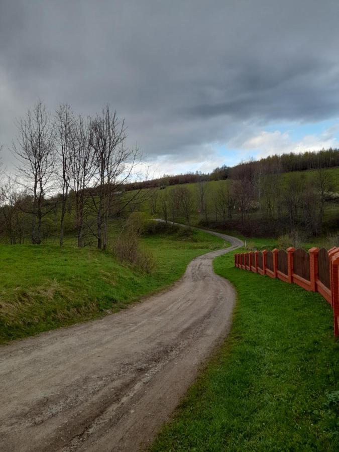 Dolina Roztoki-mieszkanie,pokoje Lub Z Lokalem Na Poddaszu *