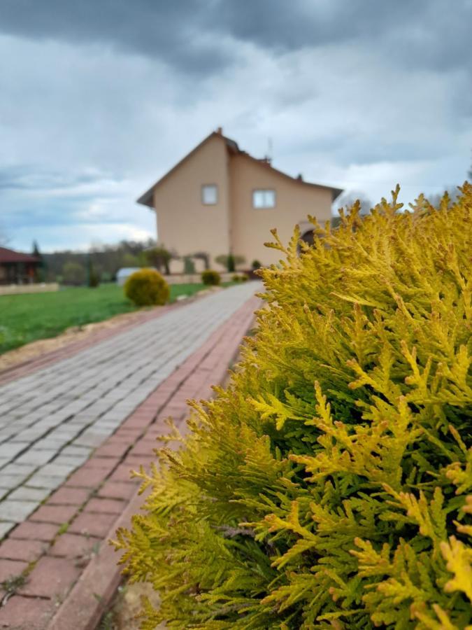 Apartment Dolina Roztoki-mieszkanie,pokoje Lub Z Lokalem Na Poddaszu