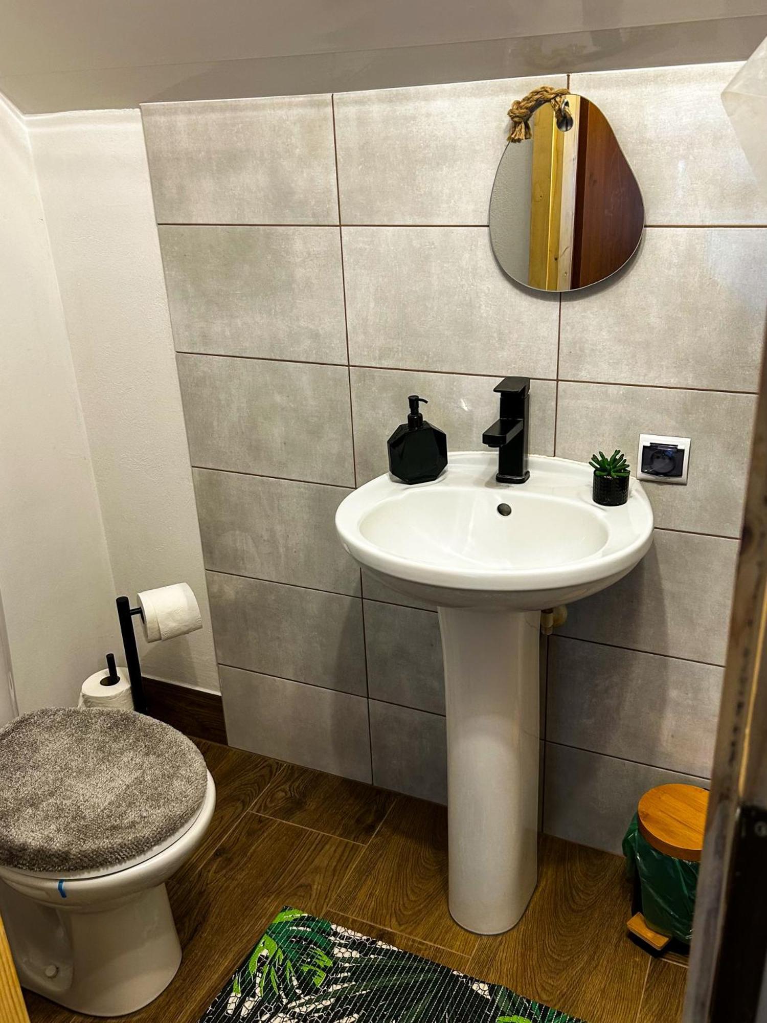 Dolina Roztoki-mieszkanie,pokoje Lub Z Lokalem Na Poddaszu Apartment Bircza